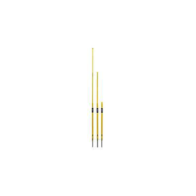 Pro Training Agility Poles (Set of 8) 