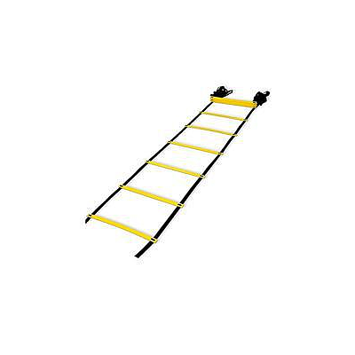 Quick Ladder