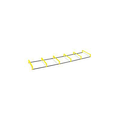 Elevation Ladder
