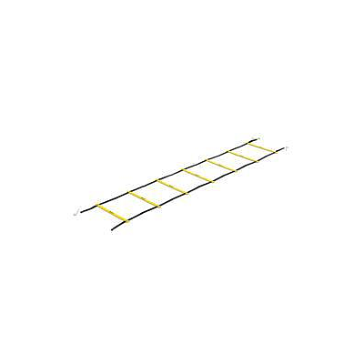 Quick Ladder Pro