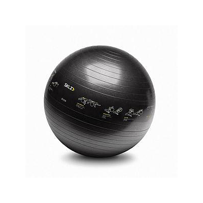 Trainer Ball - 65cm Sport Performance 