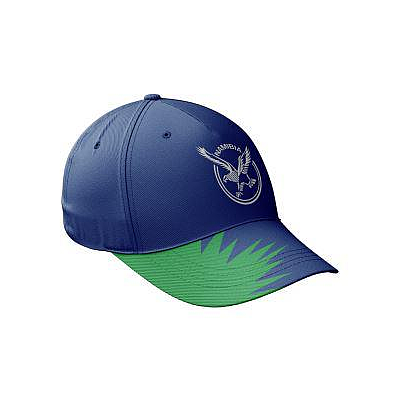 ICC WC T20 CAPS NAMIBIA-